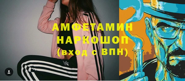 крисы Кулебаки