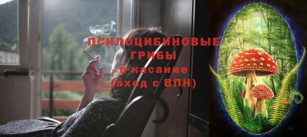 Альфа ПВП Армянск