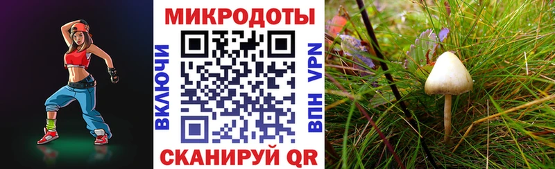 Галлюциногенные грибы GOLDEN TEACHER Балашиха
